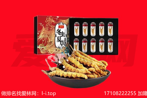 南京玄武区回收虫草.jpg